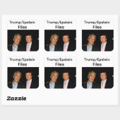 Autocollant Fichiers Trump/Epstein (Feuille)