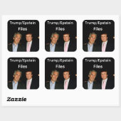 Autocollant Fichiers Trump/Epstein (Feuille)
