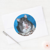 Autocollant Figaro Rattie 3" (Enveloppe)