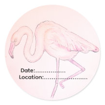 Autocollant flamant rose pour les ornithologues