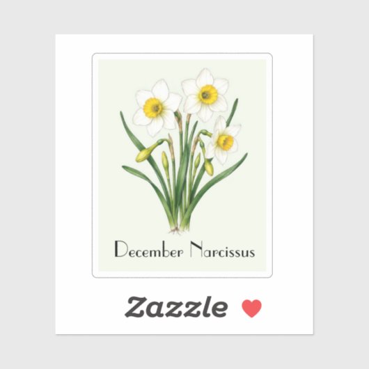 Autocollant Fleurs de Narcisse de Décembre (Feuille)