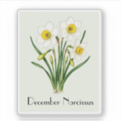 Autocollant Fleurs de Narcisse de Décembre (Devant)