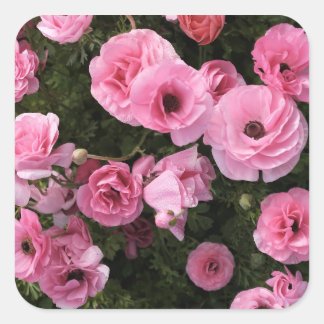 Autocollant fleurs roses