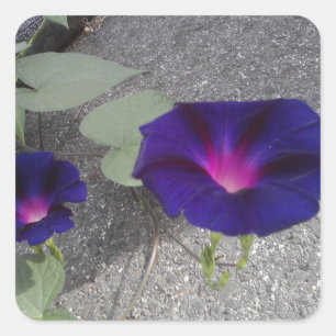 Autocollant floral brillant carré