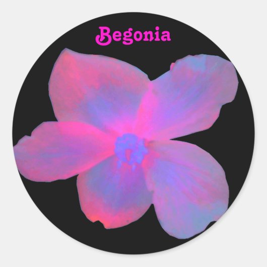 Autocollant Fluorescent Begonia personnalisable (Devant)