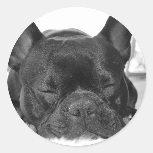 Autocollant français Bulldog (Devant)