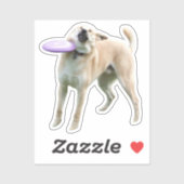 Autocollant Frisbee Chien Meme (Feuille)