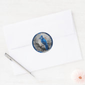 Autocollant geai bleu (modèle bleu) (Enveloppe)