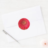 Autocollant Gerber Daisy (Enveloppe)
