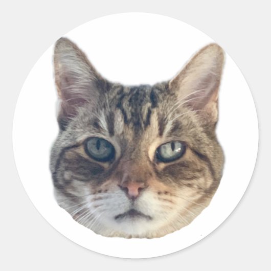 Autocollant Geronimo (Devant)