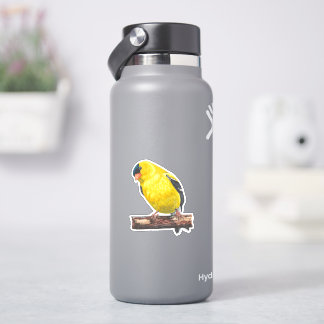 Autocollant Goldfinch américain