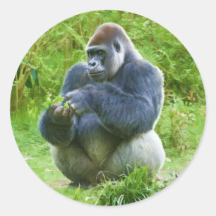 Autocollant Gorilla