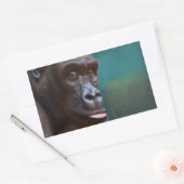 Autocollant Gorilla (Enveloppe)