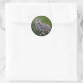 Autocollant Grand-duc d'Eurasie (Sac)