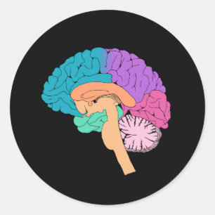 Autocollant Half Brain Science