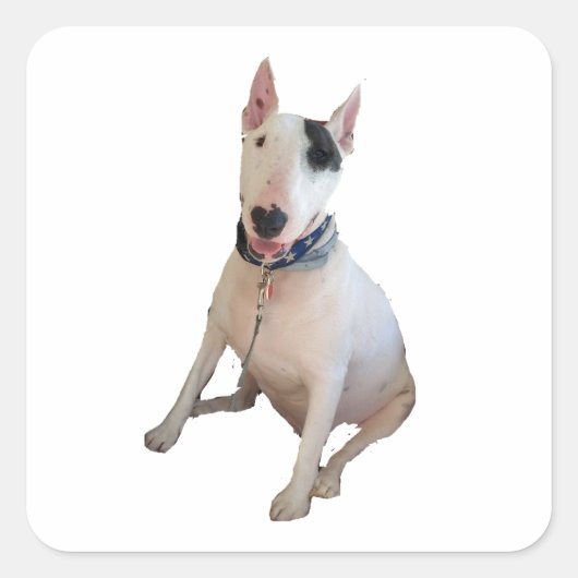 Autocollant Happy Rex (Devant)