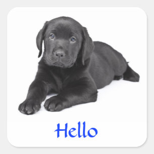 Autocollant Hello pour marionnette Black Labrador 