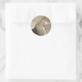 Autocollant Horatio affamé d'écureuil (Sac)