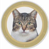 Autocollant hublot pour chat de péniche sur canal  (Devant)
