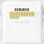 Autocollant Irak 12 mois avec l'étoile de campagne (Sac)