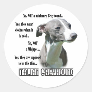Autocollant italien Greyhound FAQ