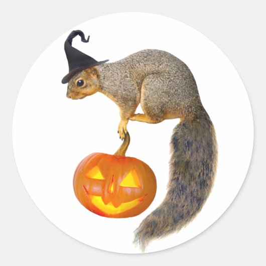 Autocollant Jack-o-lanterne à écureuil (Devant)