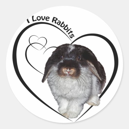 Autocollant J'adore les lapins (Devant)