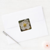 Autocollant japonais (Enveloppe)