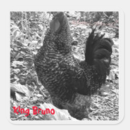 Autocollant King Bruno (Devant)