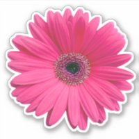 Autocollant Kiss-cut Fleur de Gérbera Rose