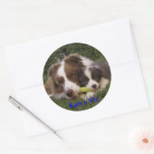 Autocollant Kun et Vir (Enveloppe)