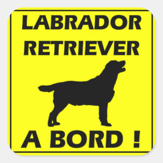 Autocollant Labrador