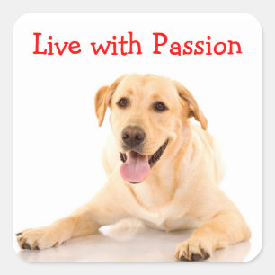 Autocollant Labrador Retriever Chien Vivre avec Pa