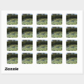 Autocollant Lily Pads (Feuille)