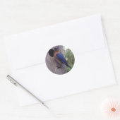 Autocollant mâle bleu (Enveloppe)