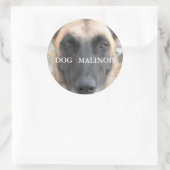 autocollant malinois (Sac)