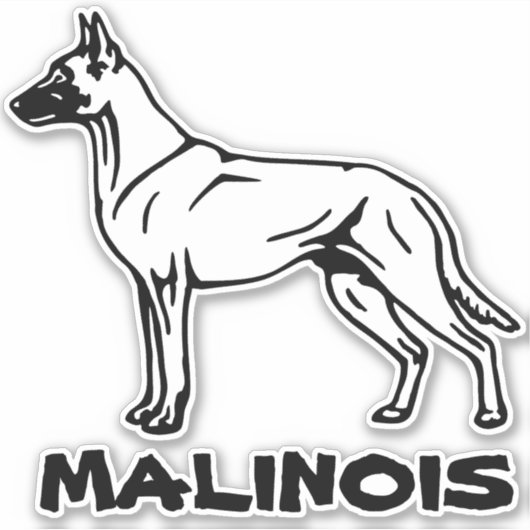 Autocollant Malinois (Devant)