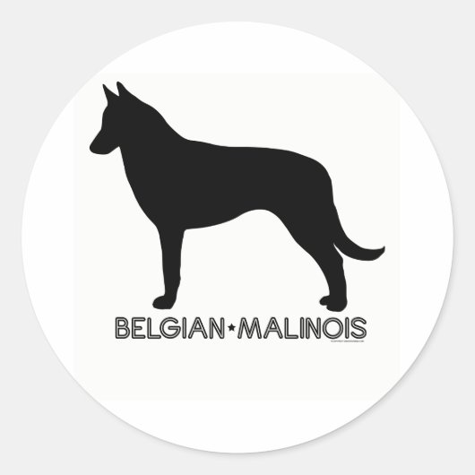 Autocollant Malinois belge (Devant)