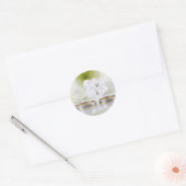 Autocollant mariage Enveloppe (Enveloppe)
