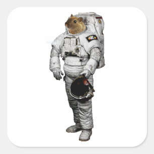 Autocollant Maus Astronaute