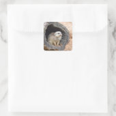 Autocollant Meerkat - carré (Sac)
