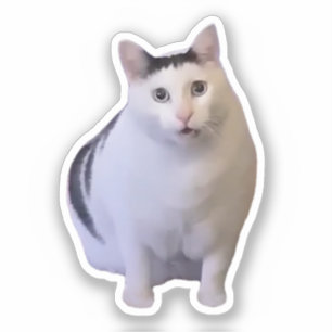 Autocollant Mème de Chat Huh