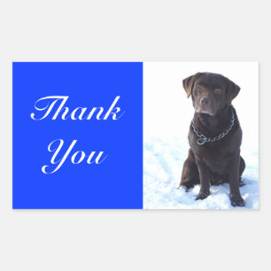 Autocollant Merci Labrador Retriever Chocolat