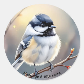 Autocollant Mésange à Tête Noire – Étang Burbank,  Ronde Sticker