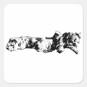 Autocollant Mini Schnauzer Duo – Noir et Blanc Aud