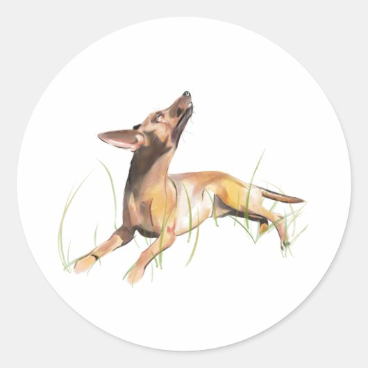 Autocollant Miniature Pinscher (Devant)