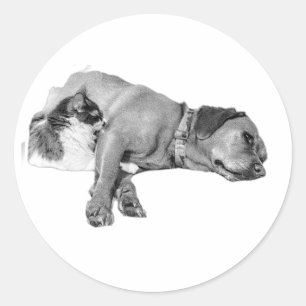 Autocollant monochrome pour chien et chat