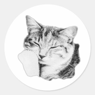 Autocollant monochrome Tabby Chat couché
