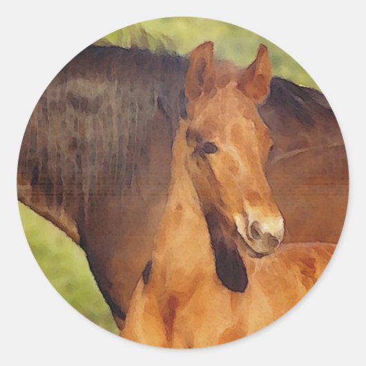 Autocollant Morgan foal (Devant)
