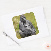 Autocollant Mountain Gorilla (Enveloppe)